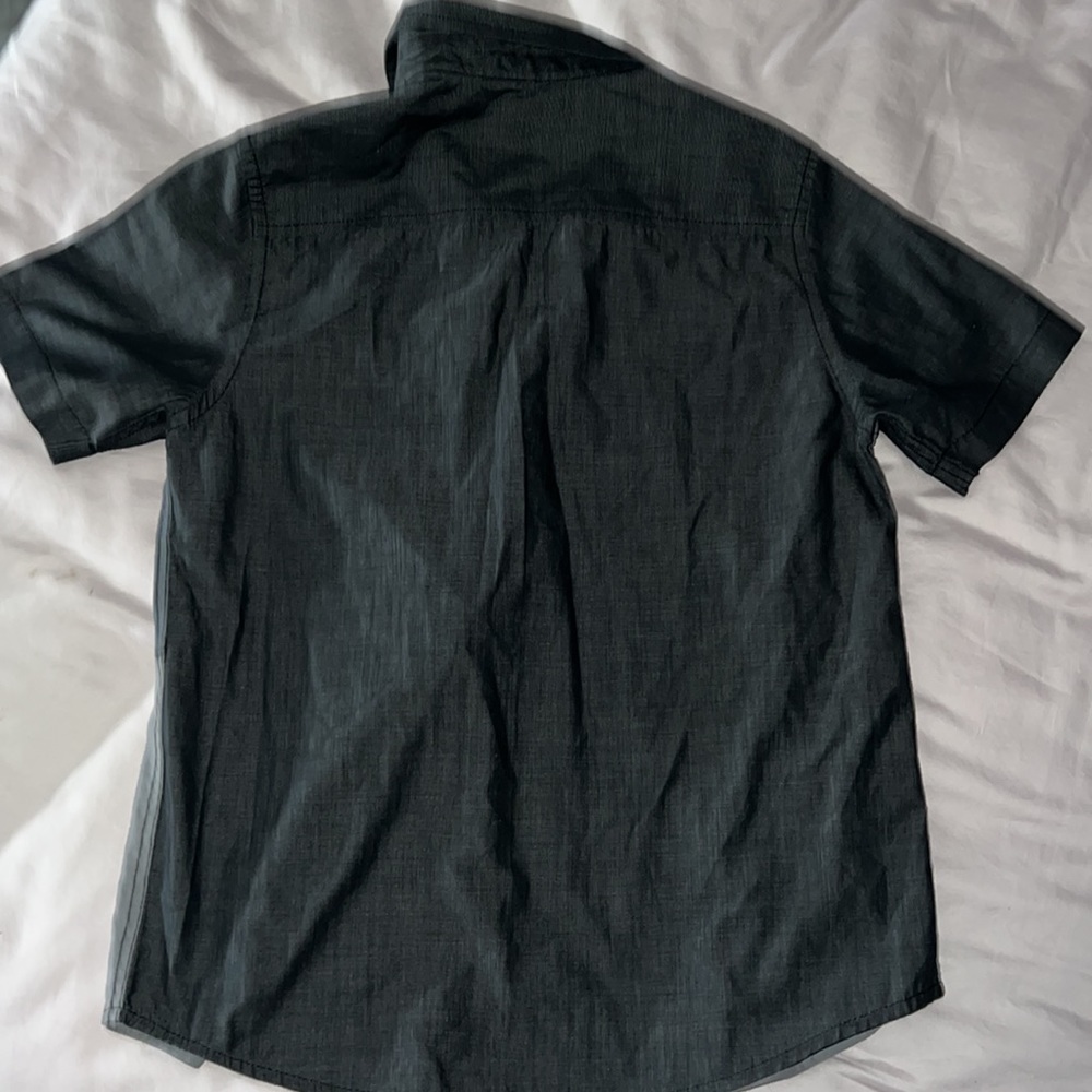 Hawk - Picture 4 of 4